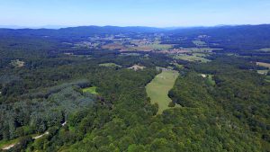 Shady Valley TN Farms For Sale