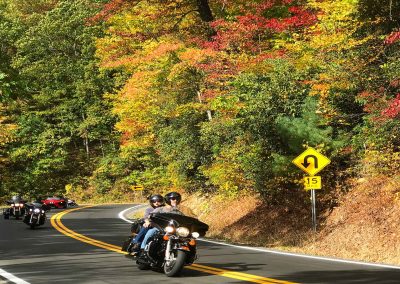 Fall Colors on the Snake 421 in Shady Valley